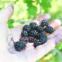 ��� ���, �� ������� ���������))) �� ������� ��� �����������