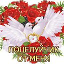 ���� �������, ����������� - ��������� 7 ������ 2015 � ������ �������� ��������