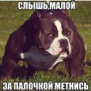 ���� �������, �����������, 46 ��� - ��������� 9 ������� 2015 � ������ ������ ��������