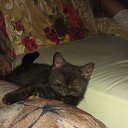 �����, ��� ����� ��� ��... �� ������� ���� ����������