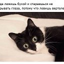 ���� ������, ��������, 39 ��� - ��������� 5 ������ 2015 � ������ ������ ��������