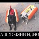 ���� �������, ������ - ��������� 3 ������ 2015 � ������ �������