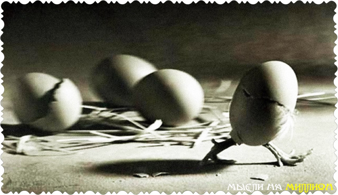 яичница на тротуаре. три куриных яйца. белое яйцо на прозрачном фоне. крошечные яйца. яйцо в жизни человека.