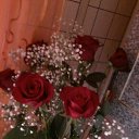  Bagira,  ( /) -  30  2015    