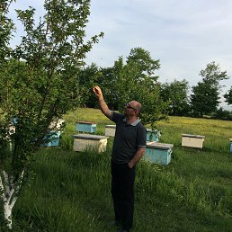 �����, ������, 59 ���