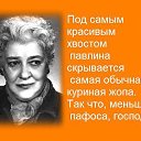 ���� ������, ������ ���, 55 ��� - ��������� 27 ������� 2014 � ������ ���� ����������