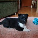 ���� Sergey, �����-���������, 67 ��� - ��������� 18 ������� 2015 � ������ ���� ����������