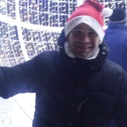 �����, 48 ���, �������