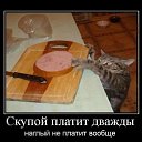 ���� ������, ���������, 49 ��� - ��������� 4 ������ 2015 � ������ ������ ��������