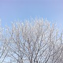 ���� Valka, ������, 63 ���� - ��������� 30 ������ 2015 � ������ ���� ����������