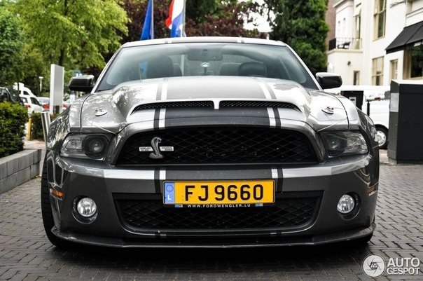 Shelby GT500 - 2