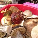 ��� ��������.����-14 �� ������� ���� ��������...��� ��������...�