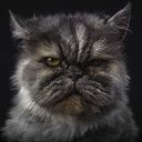 ���� Mister X, ���������� - ��������� 30 ������ 2015 � ������ ������ ��������