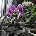 ��������� ������� �������� ����! �� ������� �������� �������.�