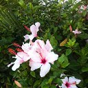 ���� ����, ������, 47 ��� - ��������� 21 ������� 2014 � ������ ������ ������� - ������ ������