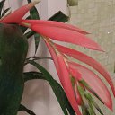 ���� ����, ����-�����������, 35 ��� - ��������� 19 ������� 2015 � ������ �������