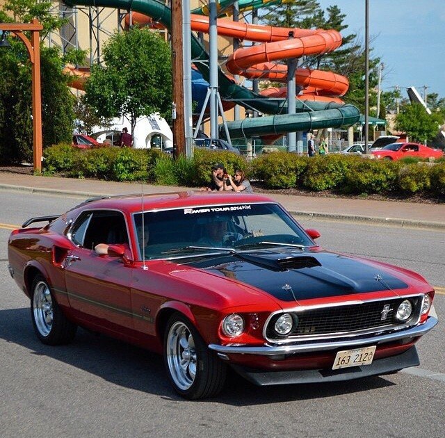 ������������ �������� - 5