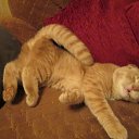 ����� �� ������� ������