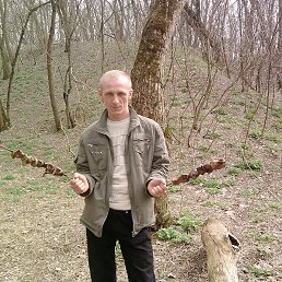 ���� �������, ��������� - ��������� 22 ����� 2015