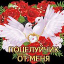 ���� ����, ���� - ��������� 2 ����� 2015