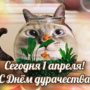 ���� �������, �������, 68 ��� - ��������� 2 ������ 2015 � ������ �������� ��������