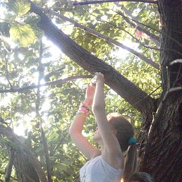 ���� �, ��������, 50 ��� - ��������� 5 ������� 2015