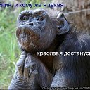 ���� Ii ������ Ii, ������� - ��������� 12 ������� 2015 � ������ ������ ��������