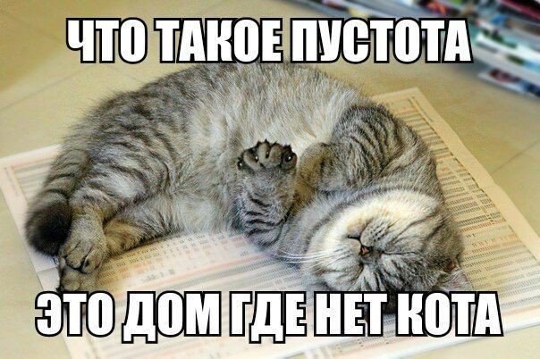 ��� ���� � ����� �� �� - 19 ������� 2014 � 15:02