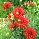 ���� �����, ������, 69 ��� - ��������� 15 ����� 2015 � ������ ���� ����������