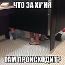���� �������, ������, 43 ���� - ��������� 20 ������� 2015 � ������ ������ ��������