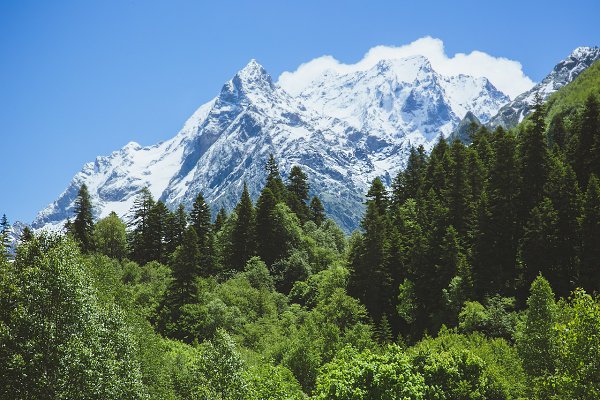 Мир тебе Чечня" 2023, Надтеречный район - дата и место проведения, программа мер