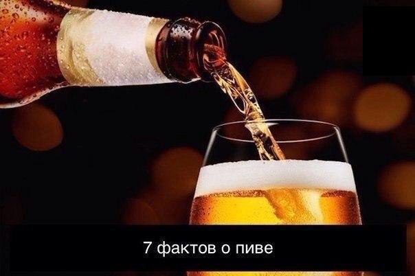 Факт 1. Пиво вреднее, чем самогон и водка, так как в процессе брожения сохраняются ядовитые ...