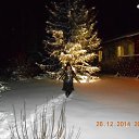 ���� ���������, ������� ��������, 66 ��� - ��������� 28 ������� 2014 � ������ ���� ����������