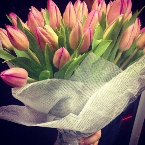   |  |  - 26  2015  19:02 - 5