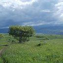 ���� ... ����, �������� - ��������� 10 ������� 2015 � ������ ���� ����������