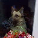 ���� �����, ������, 46 ��� - ��������� 14 ����� 2015 � ������ ������ ��������