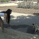 ���� �������, ������ - ��������� 6 ������ 2015 � ������ �2010-2013 ���
