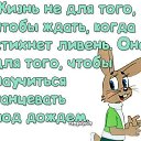 ���� Ii ������ Ii, ������� - ��������� 4 ������� 2015 � ������ ������ ��������