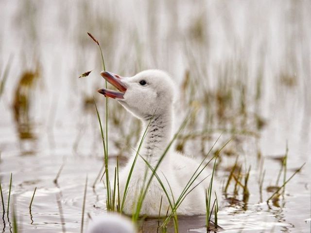   National Geographic - 7