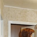 ���� ��������, ��������, 58 ��� - ��������� 5 ����� 2015 � ������ ���� ����������