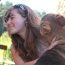 ���� ���������, �������� - ��������� 20 ������ 2015 � ������ ���� ����������