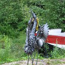 ���� ������, �����, 67 ��� - ��������� 8 ����� 2015 � ������ ���������������� ����� � �������