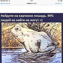 ���� �������, ������, 54 ���� - ��������� 9 ������ 2015 � ������ ������ ��������