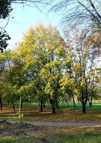 Город Шахты. Городской парк Культуры и Отдыха, ныне Александровский Парк. - 6