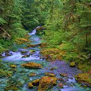 ���� ������., �������� - ��������� 28 ������� 2014 � ������ �����������.....!�