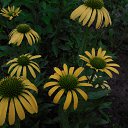 ��� �����..��������.. �� ������� ���� ����������