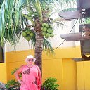 ���� ��������, �����������, 61 ��� - ��������� 12 ������ 2015 � ������ ���� ����������