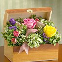 ���� Georgi, ����� - ��������� 2 ������ 2015 � ������ ���� ����������