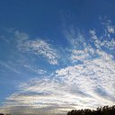  Begemot, , 62  -  8  2015    