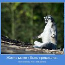 ���� �������, �����, 70 ��� - ��������� 21 ������� 2015 � ������ ������ ��������